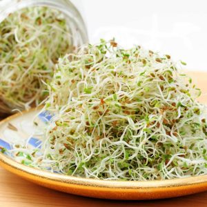 Manual de Brotes y Semillas medicinales