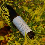 Perfume Roll-on la esencia del equilibrio