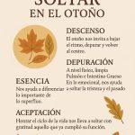 Manual El Arte de Soltar Otoño